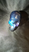 Medium Resin Skull