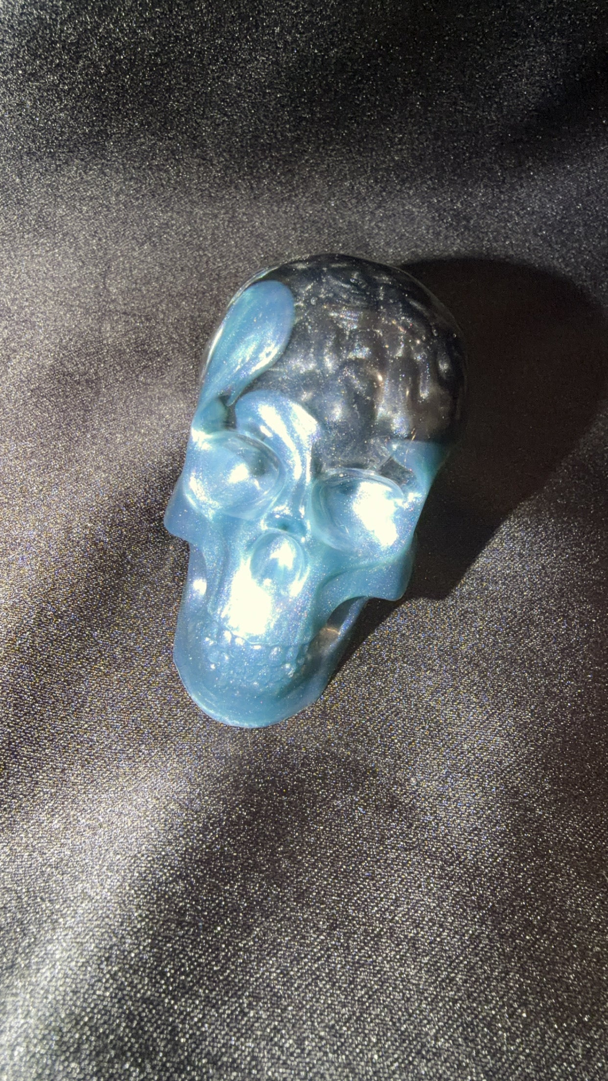 Medium Resin Skull with Brain